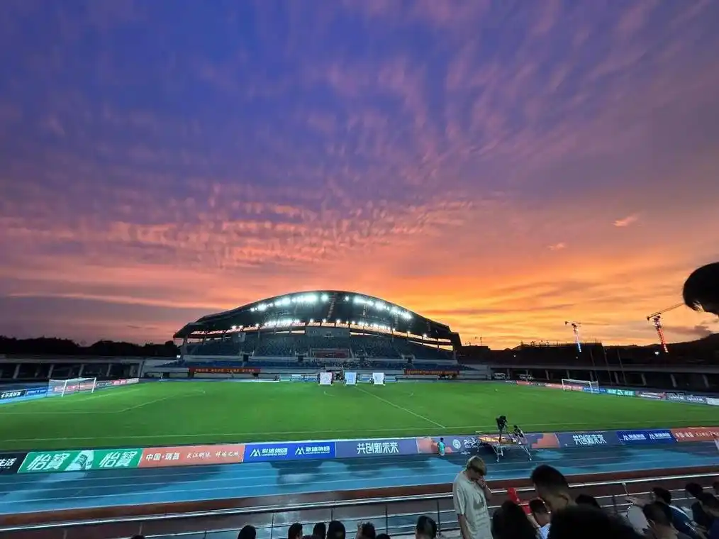 雨燕直播在线观看高清